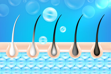 Hyaluronic acid and Niacinamide gray hair and skin solutions ad, blue collagen serum drops into skin cell with cosmetic advertising background ready to use, illustration vector.