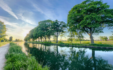 A tranquil river scene with lush green trees and clear skies, perfect for relaxation and nature themes