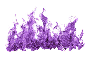 Purple fire flames isolated on black background
