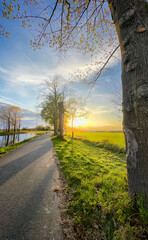 A beautiful and picturesque sunrise illuminating a serene country road that is lined with majestic trees