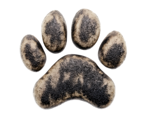 paw print isolated png