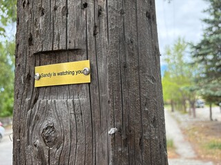 creepy sign on power pole