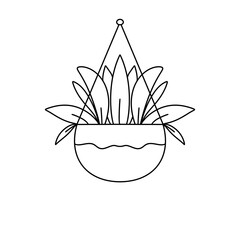 A potted plant with a hanging stem is shown in a white background