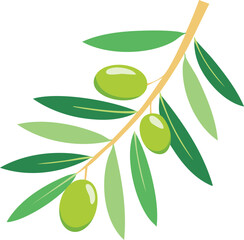 Vector Olive Tree Sprig with Green Leaves and Olives in Minimalist Flat Illustration Style

