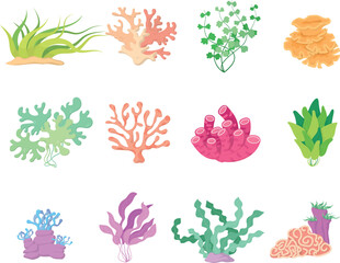 Flat Vector Illustration of Colorful Seaweed and Coral Collection for Underwater Marine Life Infographic and Educational Presentation © V1oleta