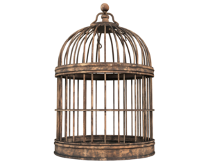 cage isolated png
