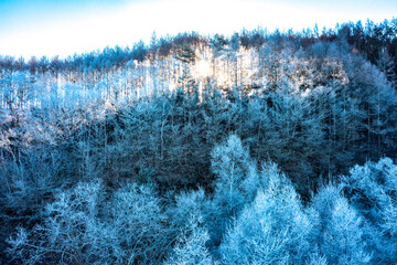 霧氷の山(20231223)