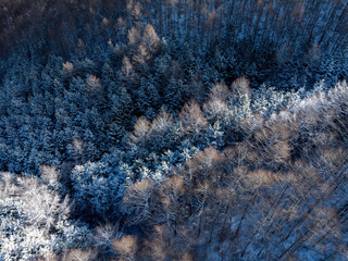 雪晴れの朝(20241214)