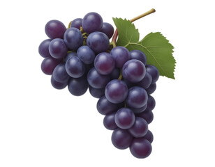 Fototapeta premium A Close-Up of a Bunch of Ripe Purple Grapes with Leaf and Stem