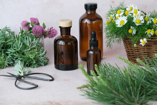 Three dark glass bottles containing essential oils arranged with vibrant herbs and blooming flowers. Natural aesthetic ideal for herbal remedies. Alternative medicine, healthy and well-being concept