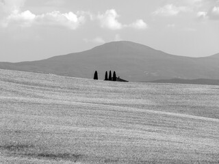 toscana tuscany italy