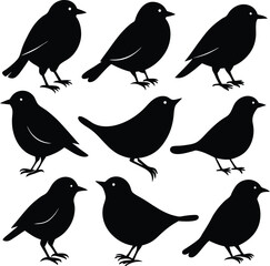 Obraz premium Silhouette Birds Clipart: Black Bird Silhouettes Vector Graphic Illustration Set