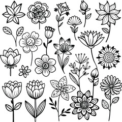 Floral Line Art: Black and White Flower Illustrations, Botanical Drawings, Vector Graphics, Nature Designs