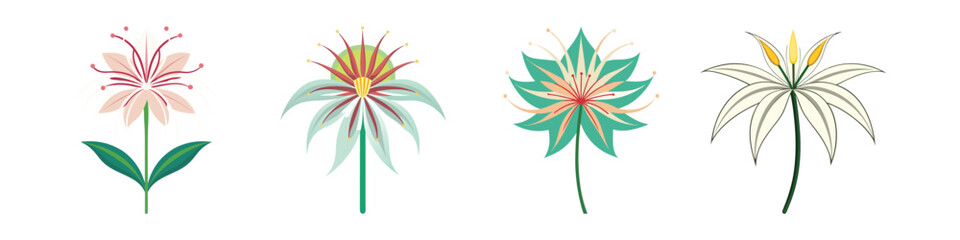 Spider Lily Flat Illustration Dramatic Curled Petal Vector Design