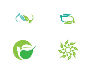 Tree leaf vector logo design, eco-friendly concept.