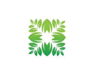 Tree leaf vector logo design, eco-friendly concept.