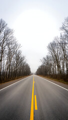 Fototapeta premium A long, straight highway stretches into the distance, disappearing into a misty fog, lined with bare winter trees on either side, creating a serene and peaceful atmosphere