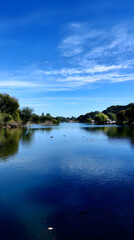 Ethereal Reflection: A Tranquil Symphony on the Lake