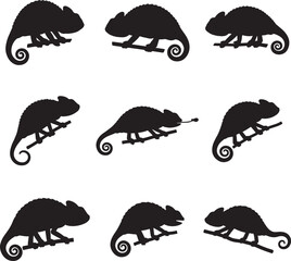 Collection of nine chameleon silhouettes perched on branches