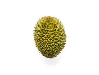 Studio shot of a whole durian fruit, known for its distinctive odor, isolated against a clean white backdrop, highlighting its unique spiky green rind and oblong shape.