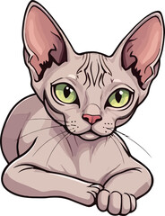 Obraz premium Cute cartoon a illustrator vector Sphynx cat