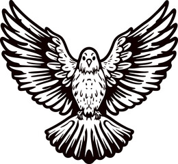 Fototapeta premium Detailed black and white illustration of a flying dove with extended wings and tail, hand drawn engraving