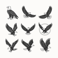 Obraz premium Collection of Black and White Eagle Illustrations in Various Flying Poses for Wildlife, Freedom, and National Themes