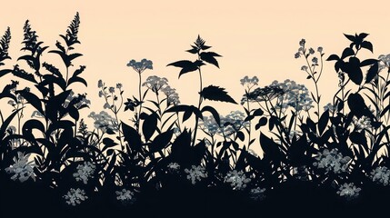 Silhouette of various weeds and wildflowers against a light background in a horizontal view