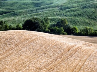 toscana tuscany