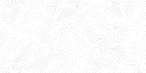 Obraz premium White wave paper curved reliefs abstract background Topographic map patterns, topography line map. Vintage outdoors style