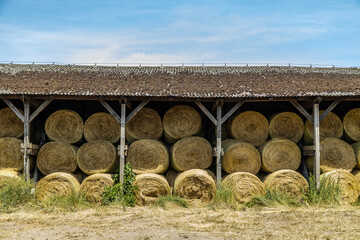 Bale siana