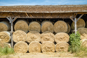 Bale siana © fotozen