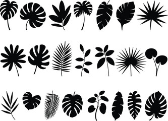 Hand drawn tropical botanical leaf silhouette collection, nature foliage elements design, vector plant shapes, CAD drawing flat vector illustration