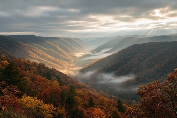Fototapeta premium A breathtaking view of a misty morning in a mountain valley during autumn.