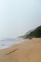 Untouched tropical beach with waves and lush green cliffs, soft light