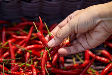 Cropped hand of woman holding red chili peppers in basket
