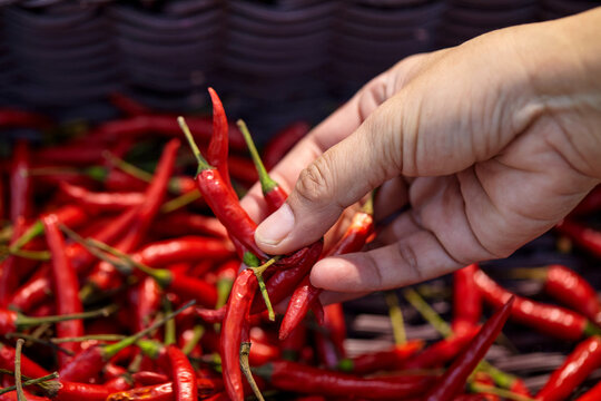 Cropped hand of woman holding red chili peppers in basket - Powered by Adobe