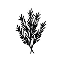 Elegant Rosemary sprigs design in minimalistic black silhouette for culinary use