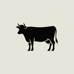 black and white cow