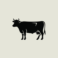 black and white cow