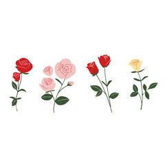 Obraz premium Hand-drawn style vector illustration of roses in red, pink, and yellow. Perfect for wedding invitations, Valentine’s Day, Mother’s Day, greeting cards, and romantic floral-themed designs.