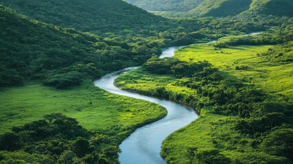 A winding river flowing through a lush green valley surrounded by dense forest and rolling hills view aerial a