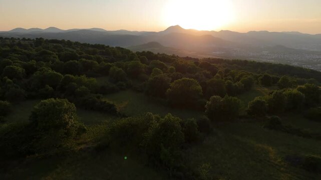Vid&eacute;o de drone d'une vue a&eacute;rienne sur une plaine en &eacute;t&eacute; remplit d'arbre au coucher de soleil