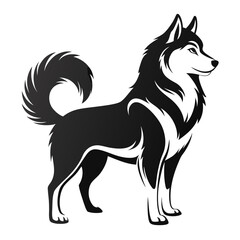 Siberian Husky Silhouette Vector with Thick Fur and Curled Tail