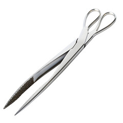 Stainless Steel Kitchen Tongs, isolated on white background