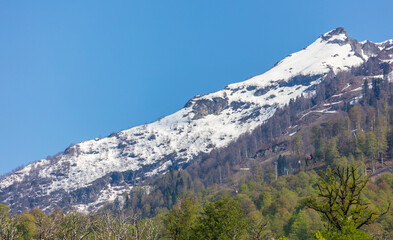A mountain covered in snow with a clear blue sky in the background