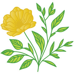 fine botanical flower art with sketched leaves and cotton blossom ideal for modern digital textile and art prints

