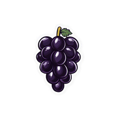 Fototapeta premium bunch of grapes illustration
