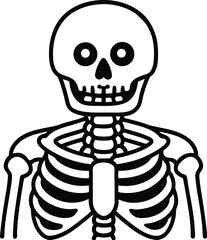 human skeleton torso and skull line art vector