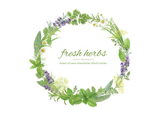 水彩で描いたハーブの葉で飾ったフレーム素材 © fuufuu